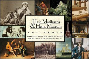 Je vindt Hash Marihuana & Hemp Museum in AMSTERDAM op Lizt.nl